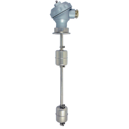 Magnetrol শ্রেনী স্যুইচ করুন - DL102